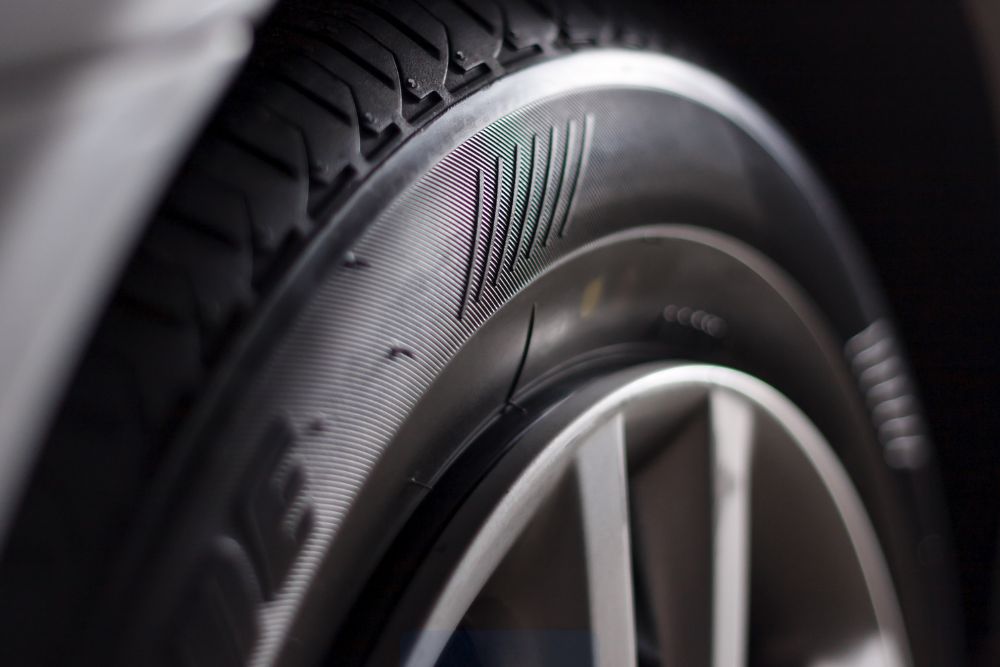 Ventajas del modelo Debica Passio 2