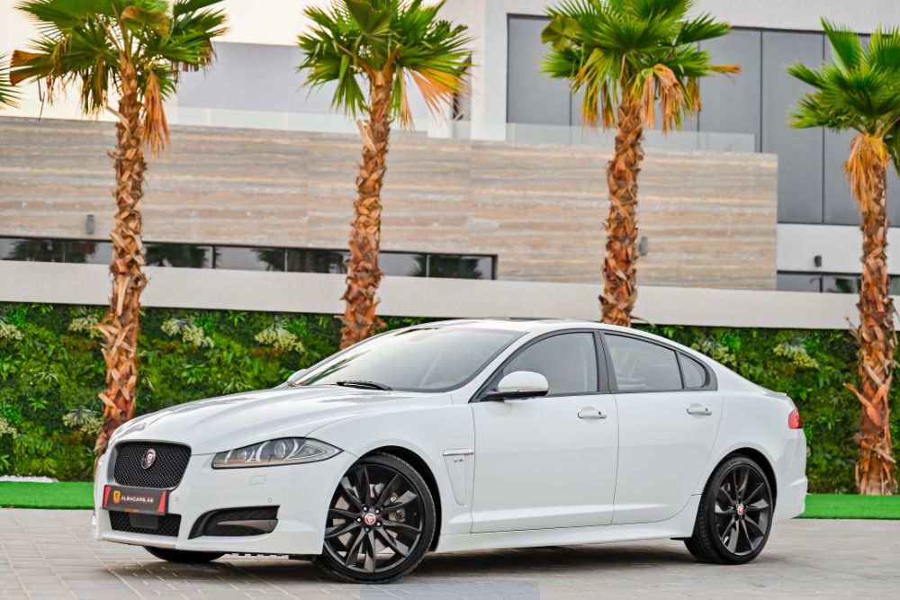 Opiniones y experiencias reales