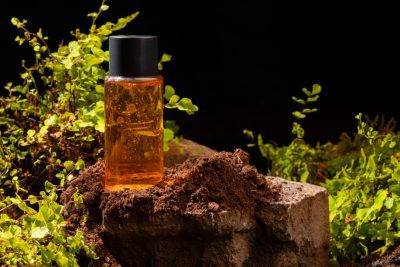 Guía completa de perfumes amaderados para hombres y mujeres